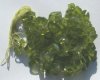 16-inch Strand of Dyed Olive Glass Chips